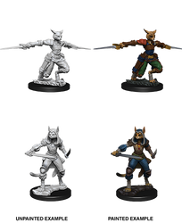 D&D Miniatures (Unpainted) - Player Characters (Rogues)