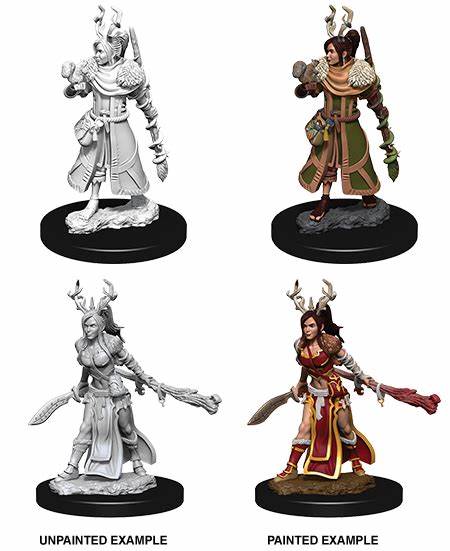 D&D Miniatures (Unpainted) - Player Characters (Druids)