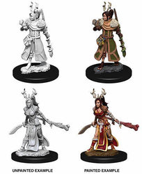 D&D Miniatures (Unpainted) - Player Characters (Druids)