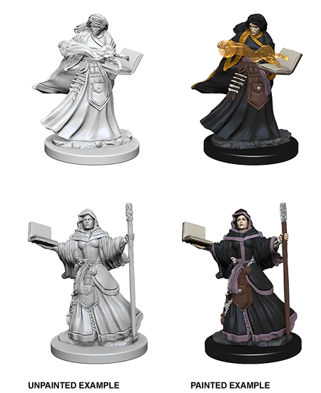 D&D Miniatures (Unpainted) - Player Characters (Wizards)
