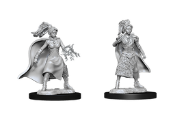 D&D Miniatures (Unpainted) - Player Characters (Sorcerers)