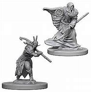 D&D Miniatures (Unpainted) - Player Characters (Druids)