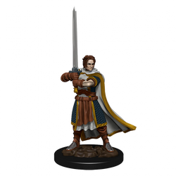 D&D Miniatures (prepainted)
