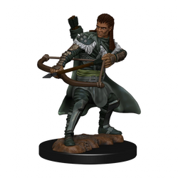 D&D Miniatures (prepainted)