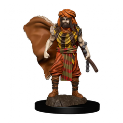 D&D Miniatures (prepainted)