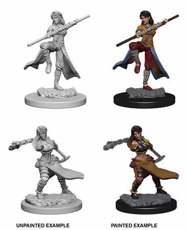 D&D Miniatures (Unpainted) - Player Characters (Monks)