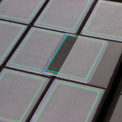 Palms Off - Collector's Series TOP LOADER Zip Binder